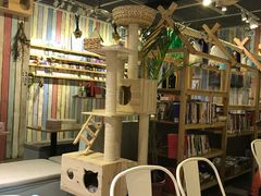 -小时光咖啡馆(开森度假森林店)