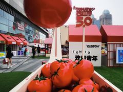 -沈阳铁西万象汇