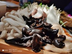 -清真·噃茄树黄柿子火锅