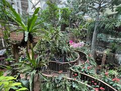 -正佳雨林生态植物园