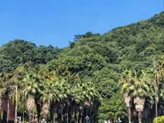 -重庆海昌加勒比海水世界