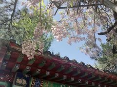 -红螺寺
