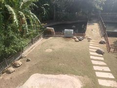 -广东惠东海龟国家级自然保护区