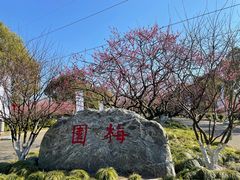 -上海海湾国家森林公园