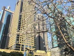 -招商银行(上海分行营业部)