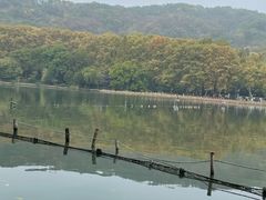 -印象西湖·最忆是杭州实景演出