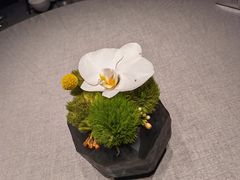 -南堂馆·新川菜(春熙路店)