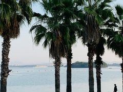 -厦门园林博览苑