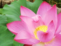 -武清南湖绿博园