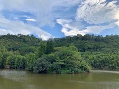 -滴水岩森林公园
