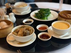 -食为先(Shark Fin)