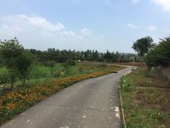 武汉紫薇都市田园-武汉紫薇都市田园