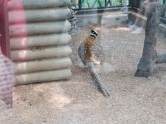 -石家庄市动物园