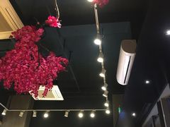 -华丰贺氏(营迹店)