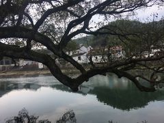 -鹿亭中村