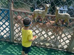 点击看大图 -萌宠亲子动物乐园(槐房万达店)