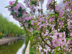 -元大都城垣遗址公园