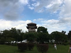 -大湾区中央湿地公园