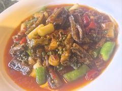 鳝鱼-代木儿回锅肉
