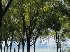 -金银湖国家城市湿地公园