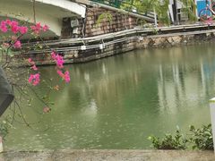 -奈雪的茶(大梅沙8号仓店)