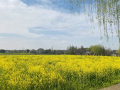 -广富林郊野公园