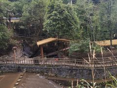 -炎陵县神农谷国家森林公园