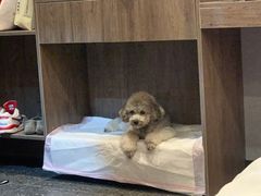 -向外鱼乐·土菜·虹鳟鱼