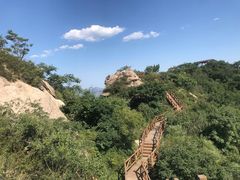 -大岭沟猕猴桃谷风景区