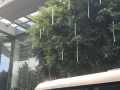 -成都世纪城假日酒店-西楼