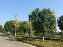 -九里河湿地公园