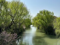 -同里国家湿地公园