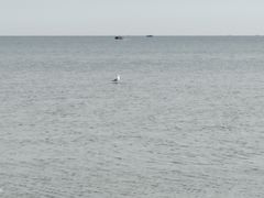 -兴城海滨风景区