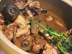 -食爺炭炉鸡煲·烧烤