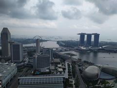 -新加坡瑞士史丹福酒店