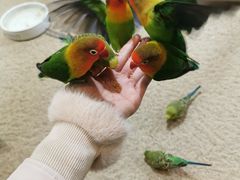 -上海大自然野生昆虫馆