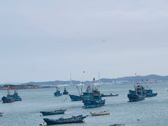 -海源公园