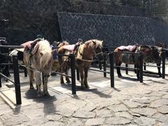 -春秋旅游航空(西藏路分部)