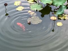 -建水文庙