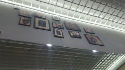 -XY形象设计/烫发·染发·接发