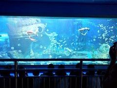 -多彩贵州城极地海洋世界