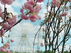 -观澜湖生态运动公社
