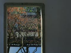 -虎跑公园