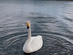 -赛里木湖风景名胜区