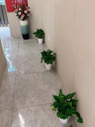 -唯伊美塑身美养连锁