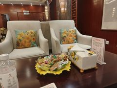 -郑州新郑国际机场T2航站楼-贵宾厅B区