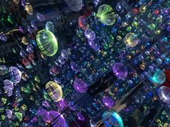 -梵高星空艺术馆(北京旗舰店)