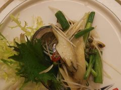 鲍鱼-中苑海韵