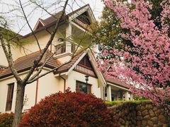 -南通鹏欣花园国宾酒店