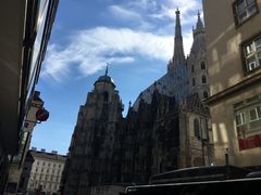 -斯蒂芬主教座堂(Stephansdom)